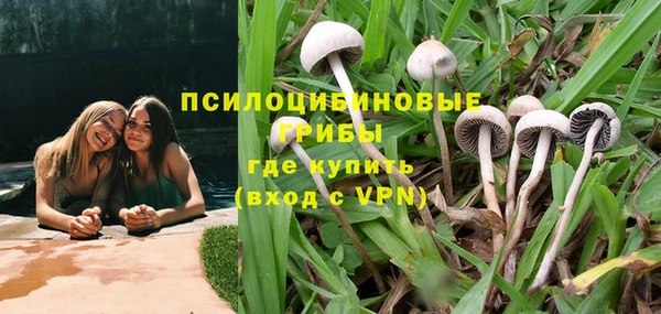 эйфоретик Белоозёрский