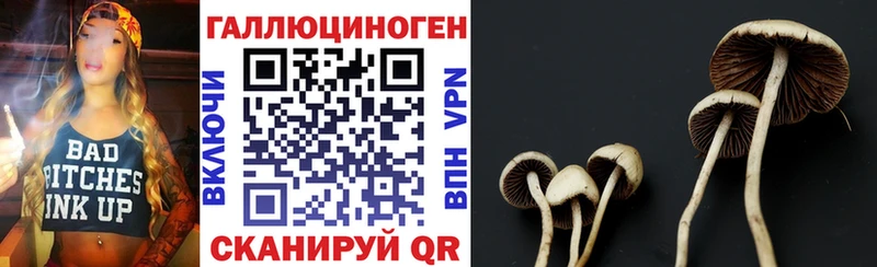 Псилоцибиновые грибы GOLDEN TEACHER  KRAKEN онион  Володарск 